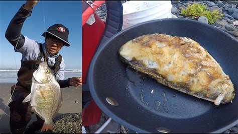 Catch And Cook Surf Perch Oregon Coast Surf Fishing Youtube