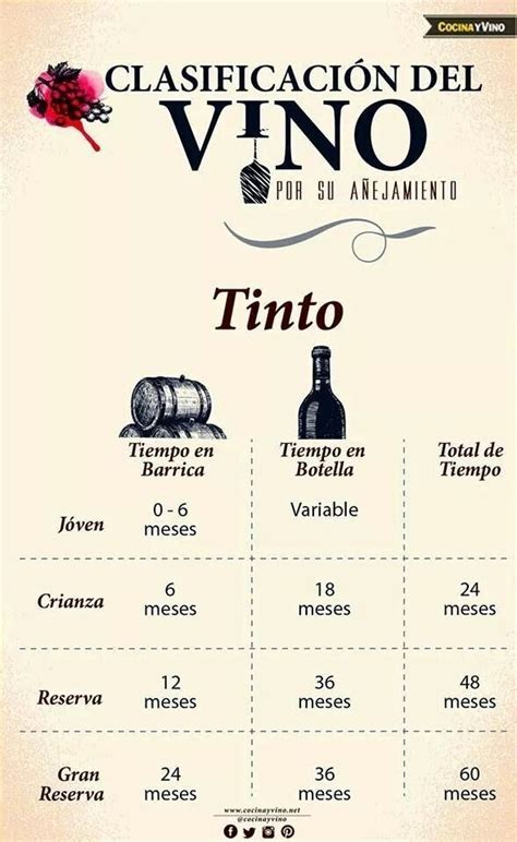 Cómo convertirte en un experto en vino Infografías Comida y vino