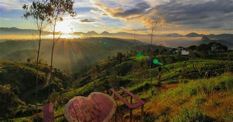 Sunrise Kebun Teh Point Cukul Pangalengan