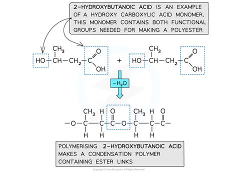 Formation Of Polyesters Cie A Level Chemistry Revision Notes