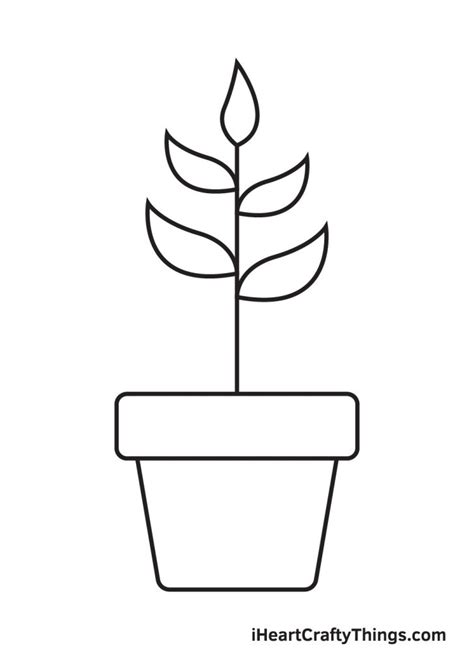 Plant Drawing How To Draw A Plant Step By Step