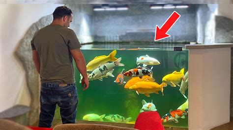 Incredible Indoor Koi Pond Diy Youtube