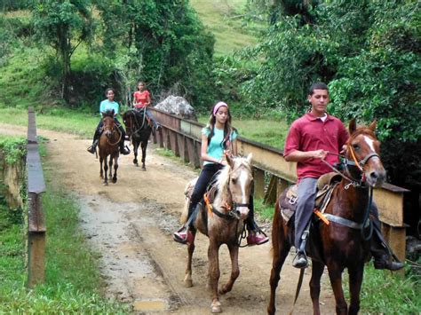 Puerto Rico Cruise Excursions | Puerto rico horseback Riding