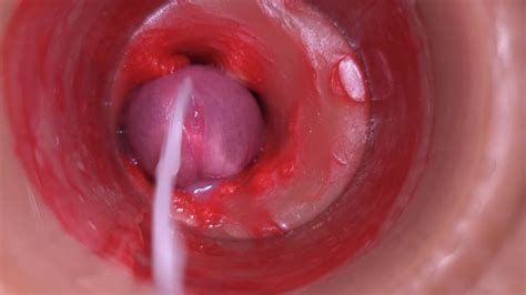 Camera In Vagina Cervix Pov Creampie Fucking Breed Me K Gay Amateur Amateur Porn Xhamster