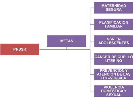 Metas De La PolÍtica De Salud Sexual Y Reproductiva