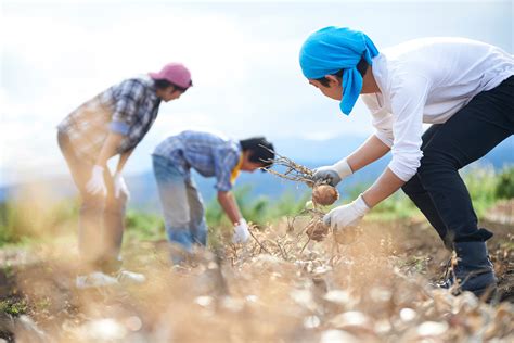 農業はなぜ人手不足？ 労働条件の改善策と、農業に向いている人材