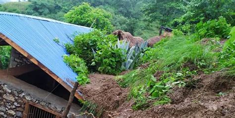 एकाबिहानै काभ्रेमा पहिरोले घर पुरिँदा एकै परिवारका ३ जनाको ज्यान गयो