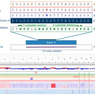 Mutations In Exon Of Ctnnb Were Found In Out Of Tumor Samples