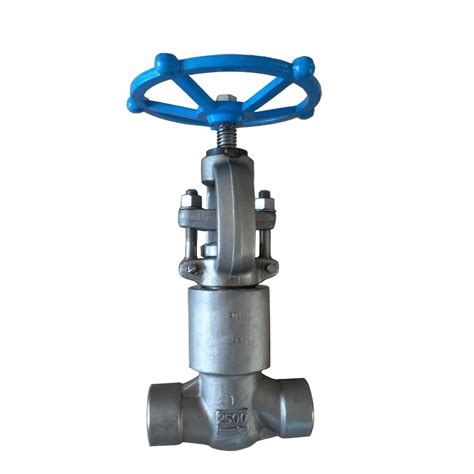 Forged Steel A105 Globe Valve With Threaded End Pipe Fitting A105 Gate Valve Gas Valve China