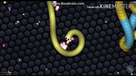 GAMEPLAY SLITHER IO MOMENTS YouTube