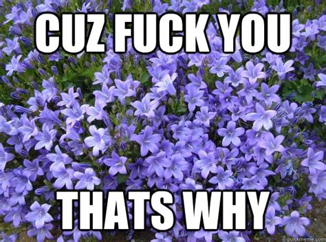 CUZ FUCK YOU THATS WHY Misc Quickmeme