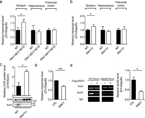 Upregulated D1r Transcription In Disc1 Deficient Mice A Relative