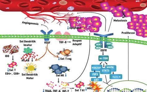 Pathogenesis Of Lung Cancer From Immunological Point Of View Involving