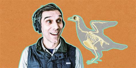 Bird Bones The Avian Skeleton Podcast Episode