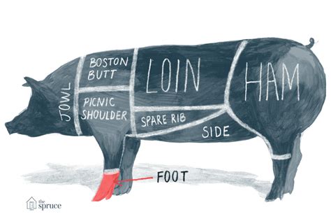 A Diagram and Pork Chart of Cuts of Meat