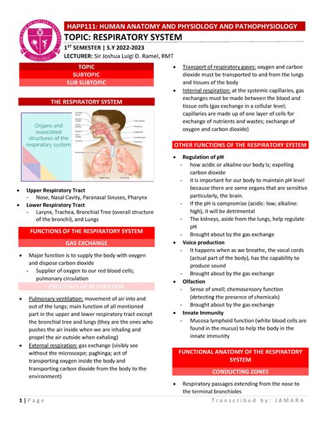 Lesson 3 Respiratory System Topic Subtopic Sub Subtopic The