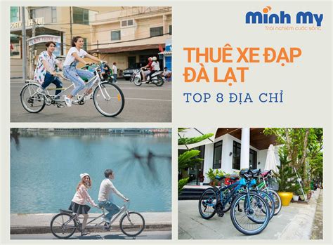 MÁCH BẠN 8 địa chỉ cho thuê xe đạp Đà Lạt - Xe mới, giá thuê rẻ