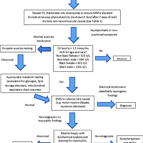 PDF Asymptomatic Pauci Symptomatic Creatine Kinase Elevations