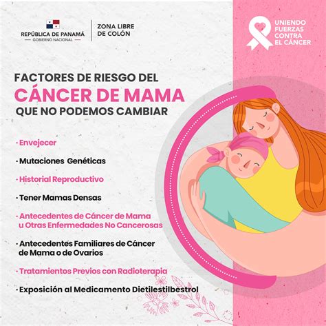 FACTORES DE RIESGO DEL CÁNCER DE MAMA Inicio