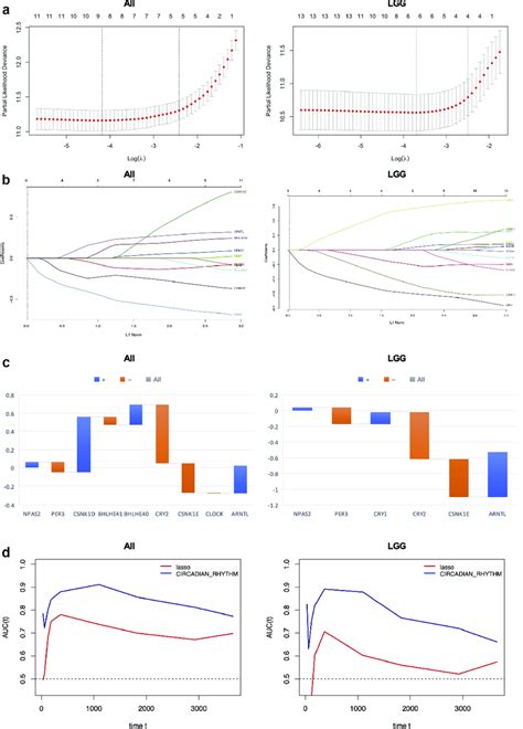 Prognostic Value Of Circadian Rhythm Pathway Index In Glioma And Lgg