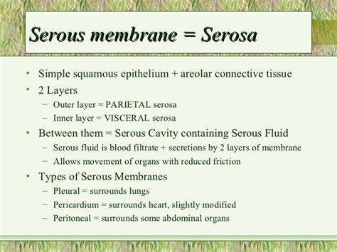 3. Serous membrane ... | Serous membrane, Thoracic cavity, Basement ...