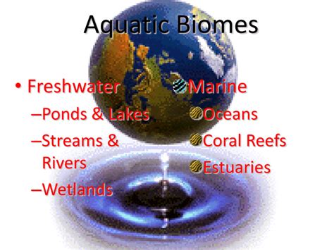 aquatic biome