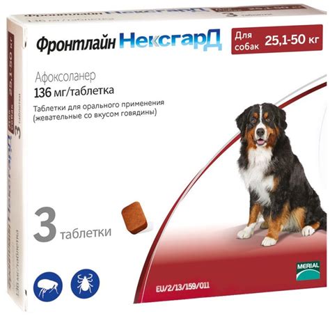 🐩Обзор лучших таблеток и капель от клещей для собак на 2025 год