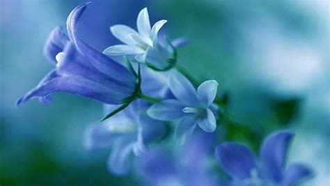 Always Dream Of Me Blue Alluring Dreams Moments Unforgettable