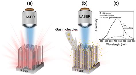 Sensors Free Full Text Luminescent Silicon Nanowires As Novel Sensor For Environmental Air