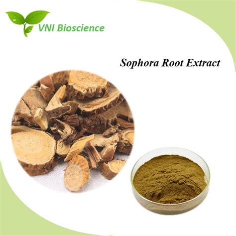 Kosher Halal Certified Natural Bitter Sophora Root Extract China