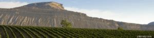 Palisade Colorado Wine Festival | Mile High Wine Tours