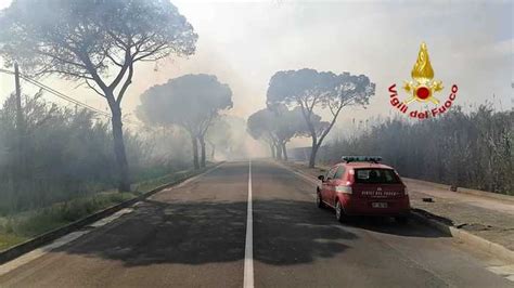 Incendi Sardegna Vasto Rogo Alimentato Dal Vento Nelle Campagne Di