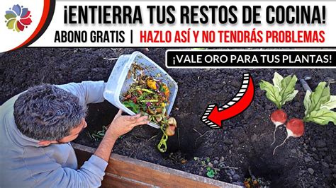 Se Pueden Enterrar Los Restos De La Cocina En El Huerto O Jard N