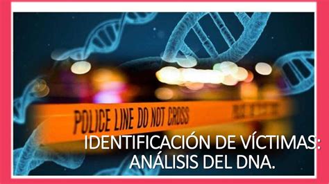 Identificaci N De V Ctimas Por Dna Forensic Notes Udocz