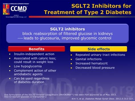 SGLT2 Inhibitors for Treatment of Type 2 Diabetes