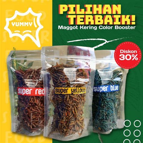 Jual Maggot Kering Yellow Blue Red Color Booster Pakan Channa 20 Gram