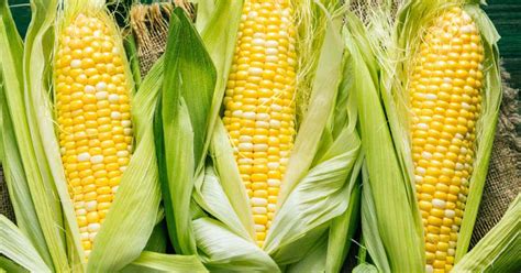 More Than A Kernel Of Truth Corn Can Add A Healthy Crunch To Your Cookout Agrinews