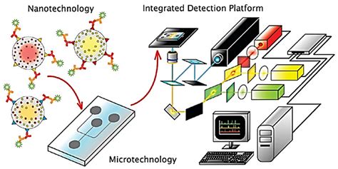 Nanomaterials Free Full Text Nanotechnology Based Diagnostics For