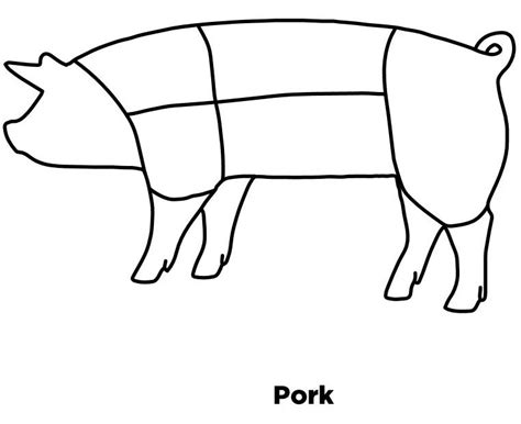 Pork Wholesale Cuts Diagram | Quizlet