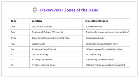 Flexor Tendon Injury Repair With Images