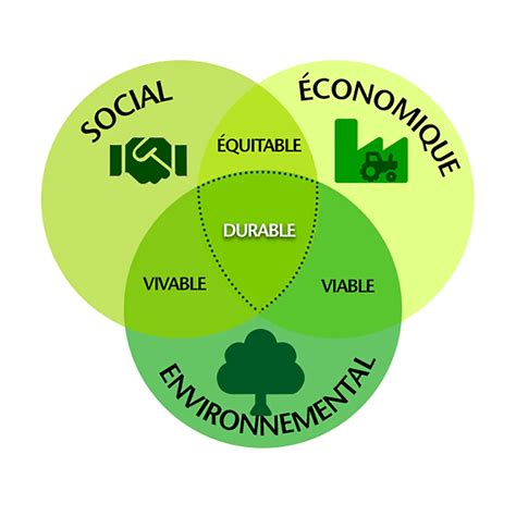 Intégrer les enjeux RSE et le développement durable en entreprise CCI