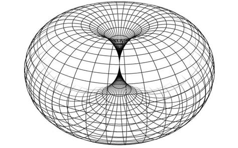 Torus - Alchetron, The Free Social Encyclopedia