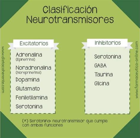 Top 10 Alimentos Ricos En Serotonina Nutricionista Online Artofit