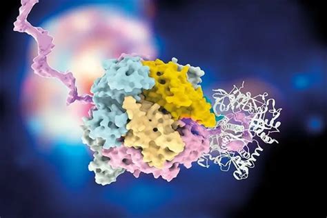 J Extracell Vesicles：富含hax的细胞外囊泡促进肿瘤血管的生成 四川九章生物科技有限公司