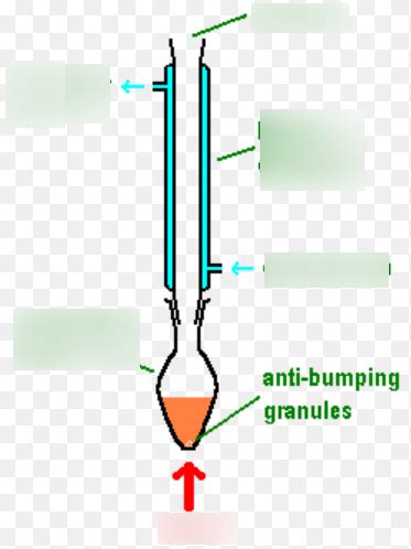 Diagram of Reflux | Quizlet