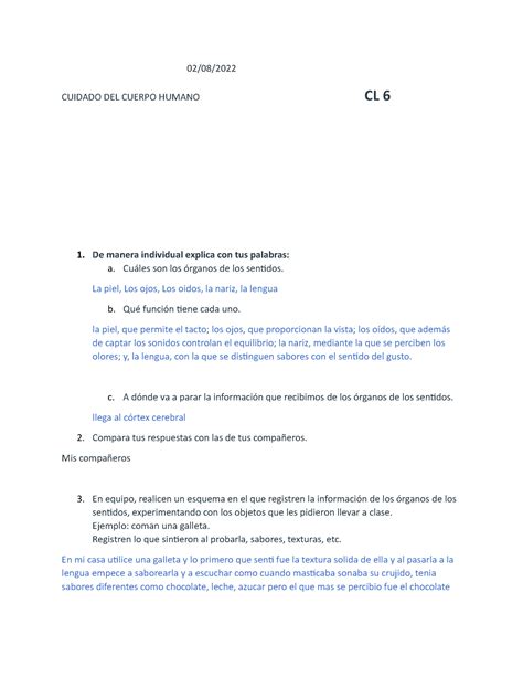 Actividad Cuidado Del Cuerpo Humano Cuidado Del Cuerpo