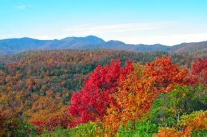 Fall Foliage | Great Smoky Mountains Guide