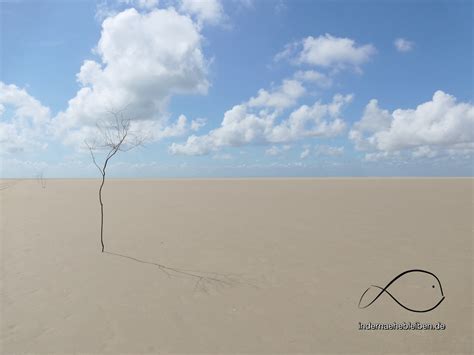 Norden im Norden Archive