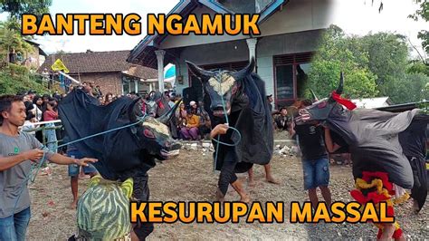 Bantengan Ngamuk Kuda Budaya Terbaru Live Mojokembang Pacet Mojokerto