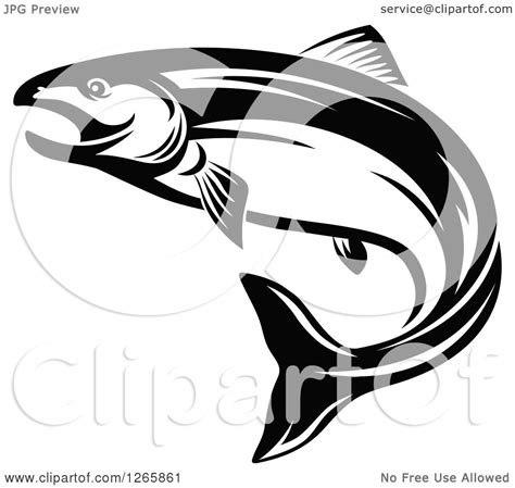 Clipart Of A Black And White Salmon Fish Royalty Free Vector